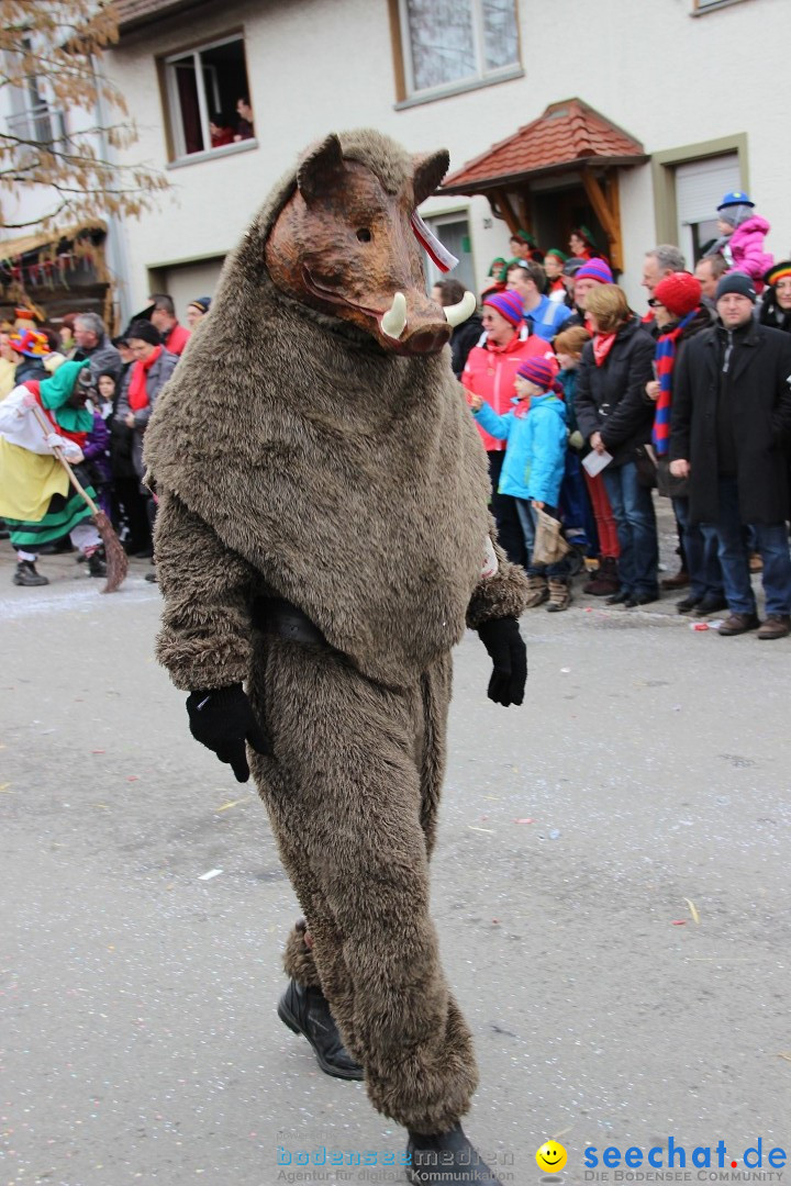 Narrenumzug - Fasnet Narrentage: Nenzingen am Bodensee, 15.02.2014