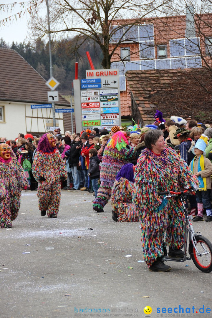 Narrenumzug - Fasnet Narrentage: Nenzingen am Bodensee, 15.02.2014