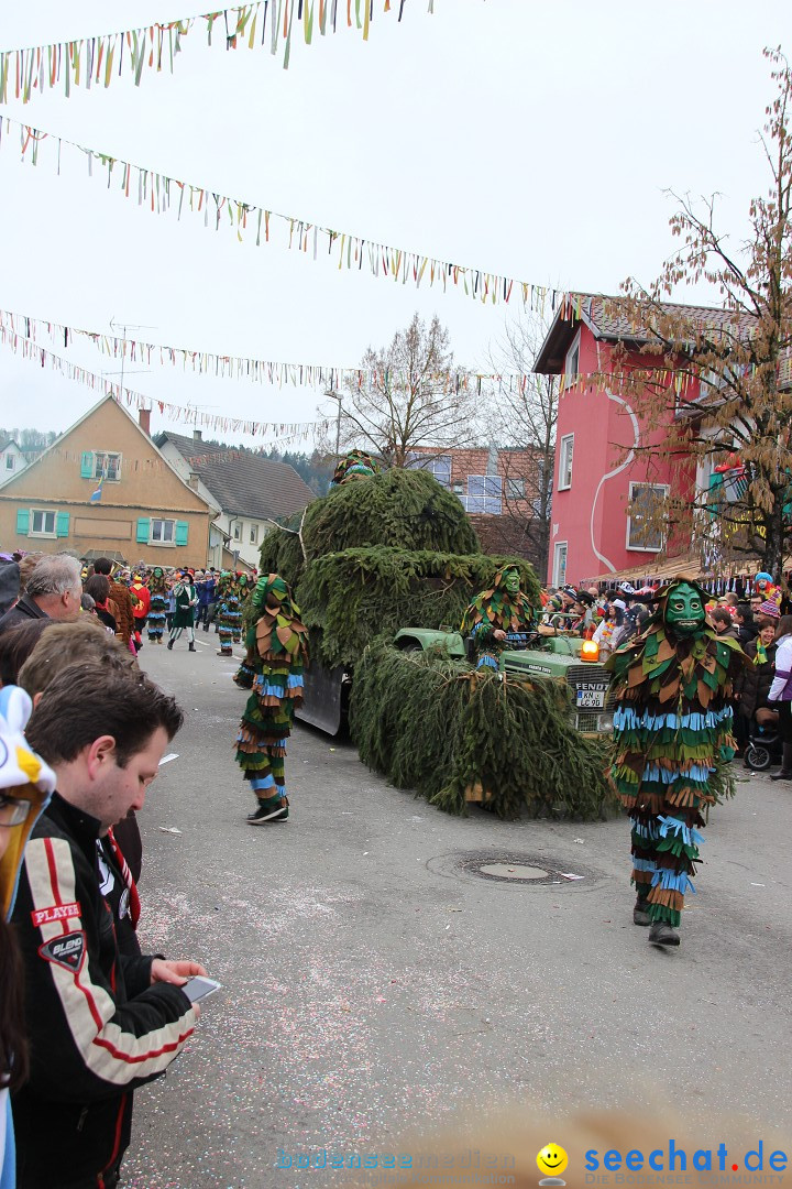 Narrenumzug - Fasnet Narrentage: Nenzingen am Bodensee, 15.02.2014