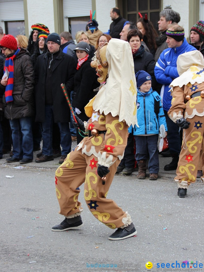 Narrenumzug - Fasnet Narrentage: Nenzingen am Bodensee, 15.02.2014