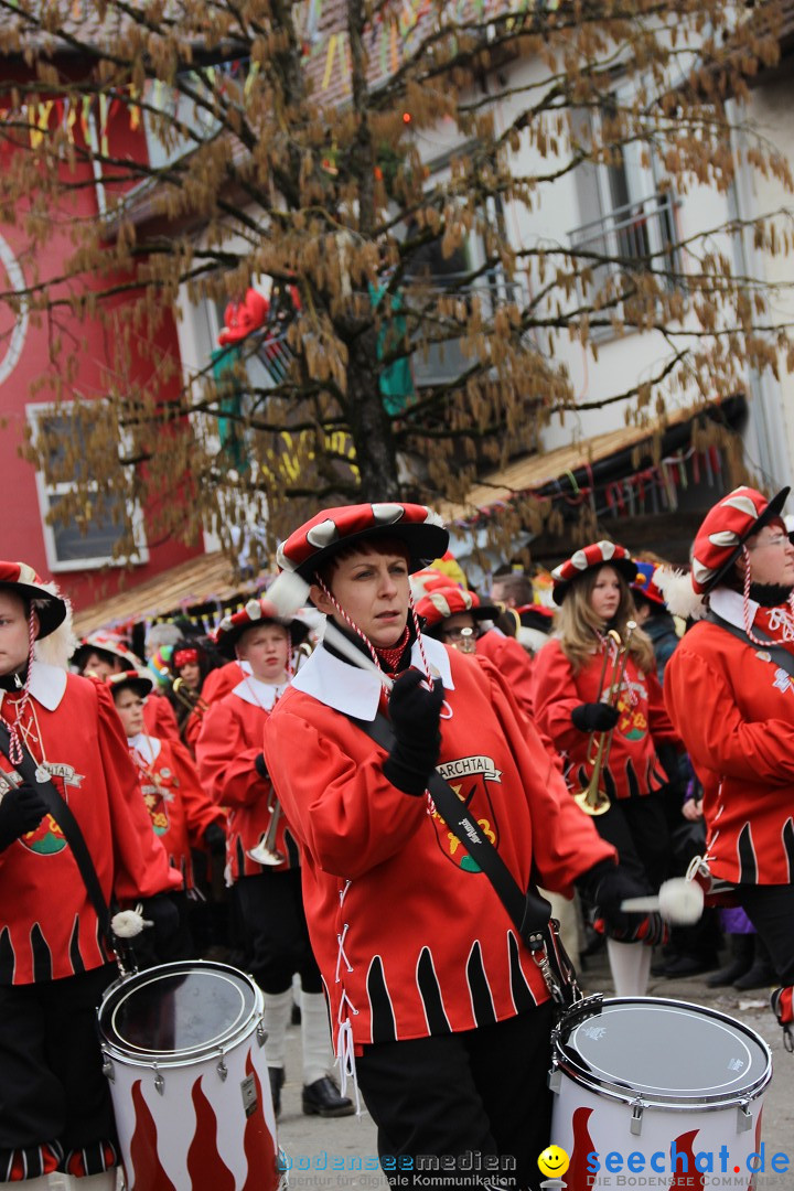 Narrenumzug - Fasnet Narrentage: Nenzingen am Bodensee, 15.02.2014