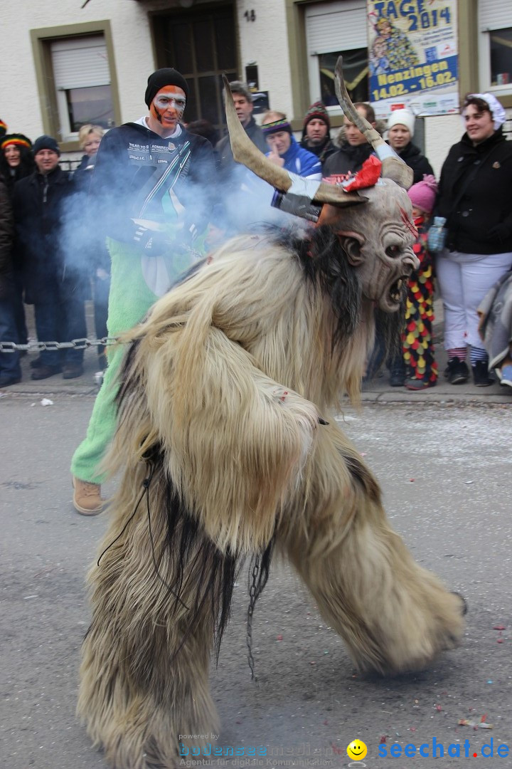 Narrenumzug - Fasnet Narrentage: Nenzingen am Bodensee, 15.02.2014