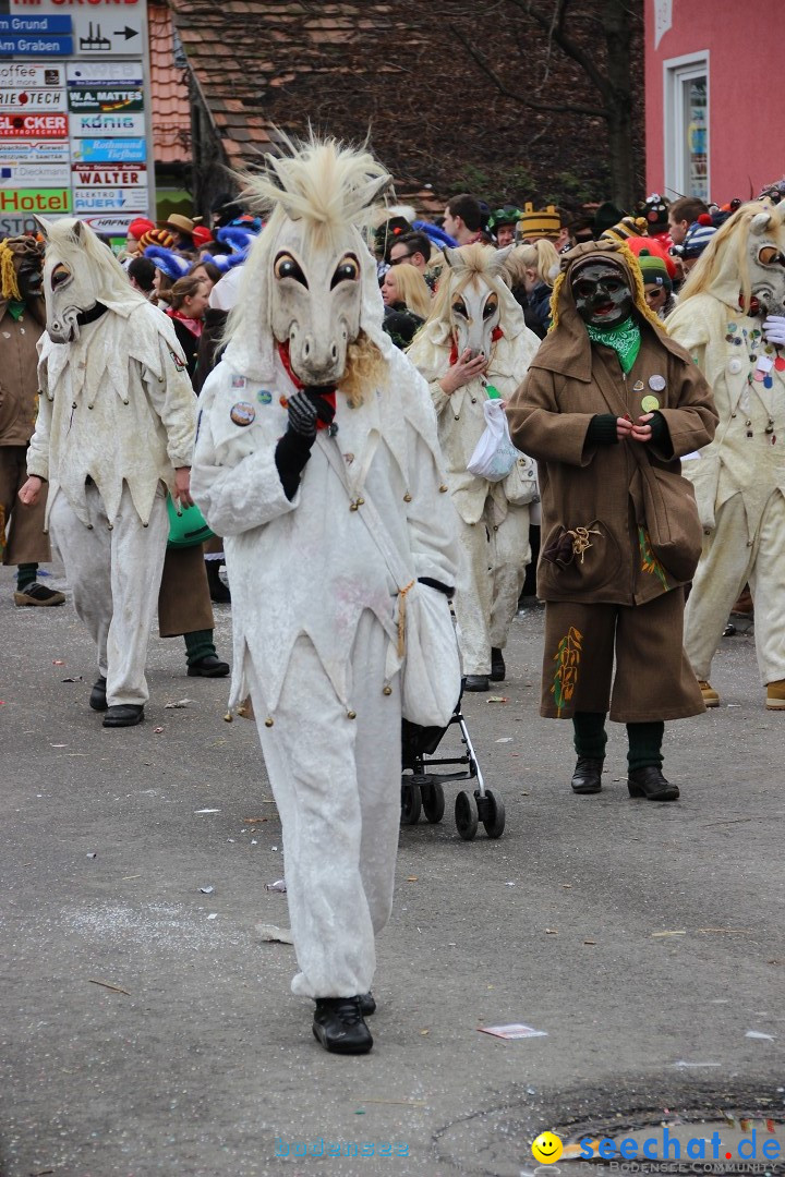 Narrenumzug - Fasnet Narrentage: Nenzingen am Bodensee, 15.02.2014