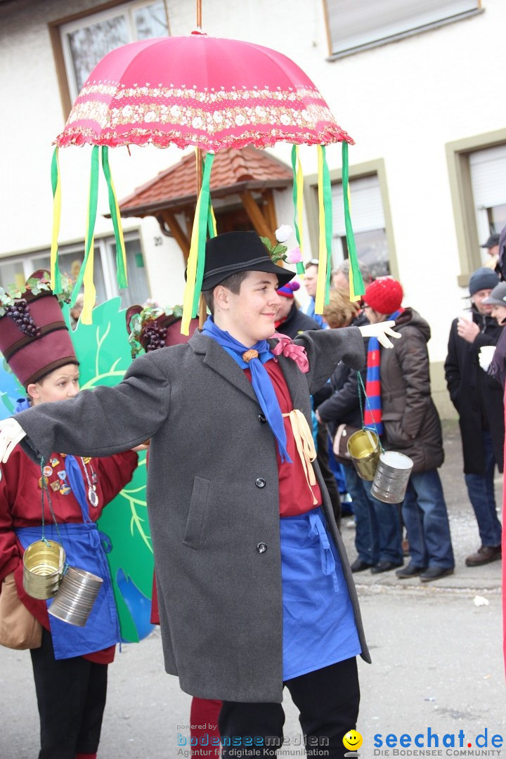 Narrenumzug - Fasnet Narrentage: Nenzingen am Bodensee, 15.02.2014