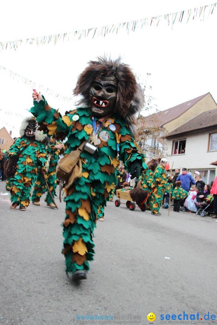 Narrenumzug - Fasnet Narrentage: Nenzingen am Bodensee, 15.02.2014