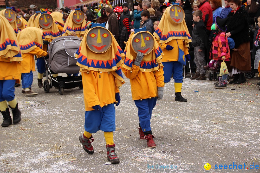 Narrenumzug - Fasnet Narrentage: Nenzingen am Bodensee, 15.02.2014