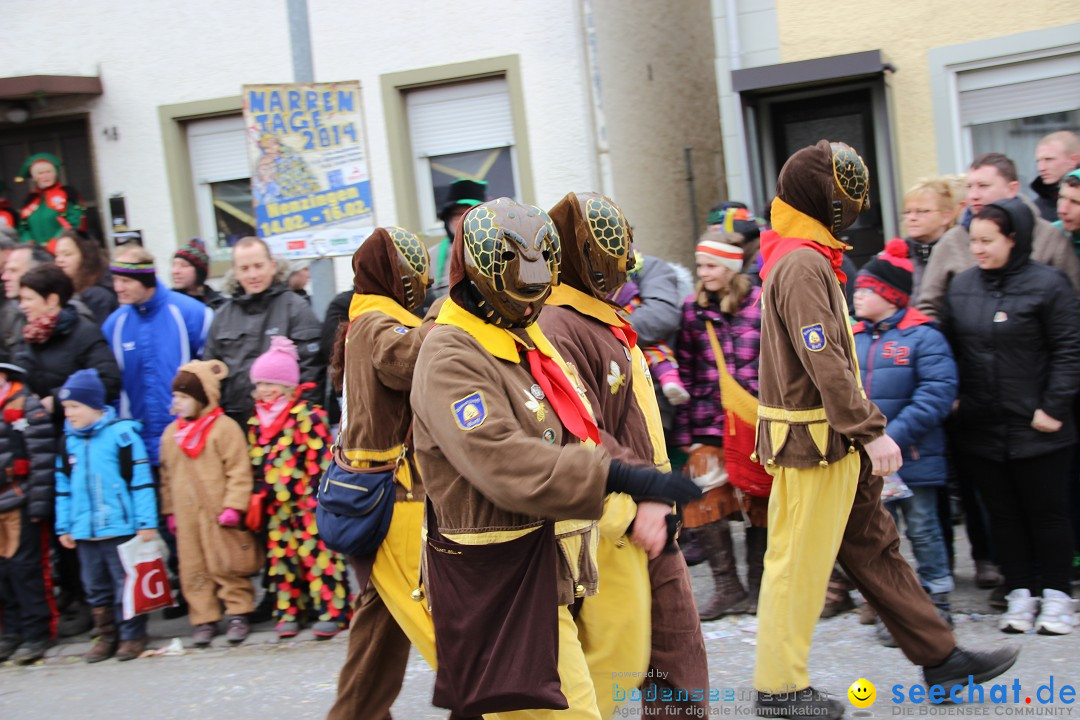 Narrenumzug - Fasnet Narrentage: Nenzingen am Bodensee, 15.02.2014