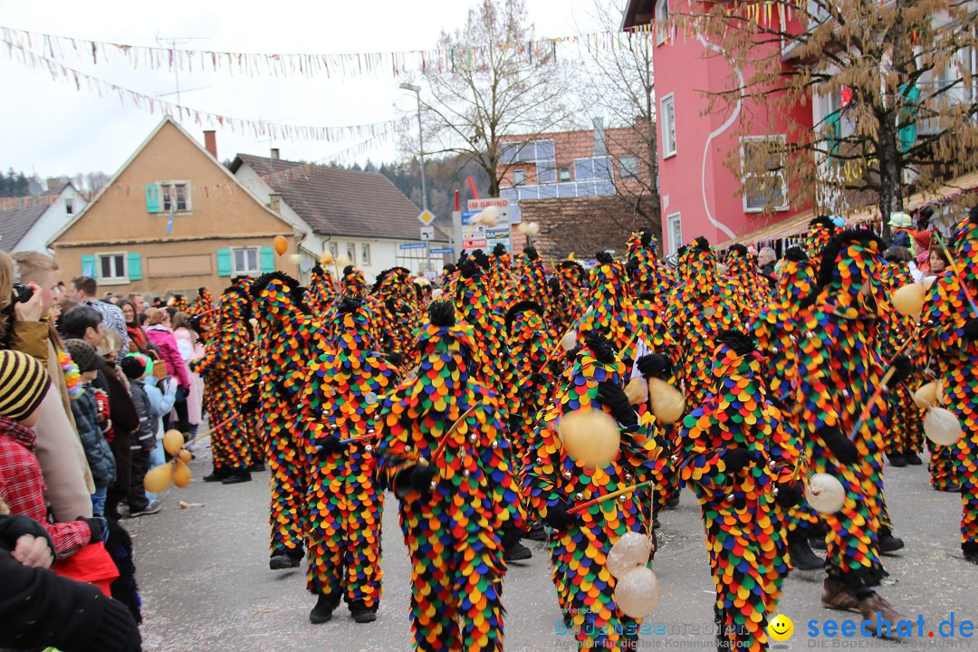 Narrenumzug - Fasnet Narrentage: Nenzingen am Bodensee, 15.02.2014