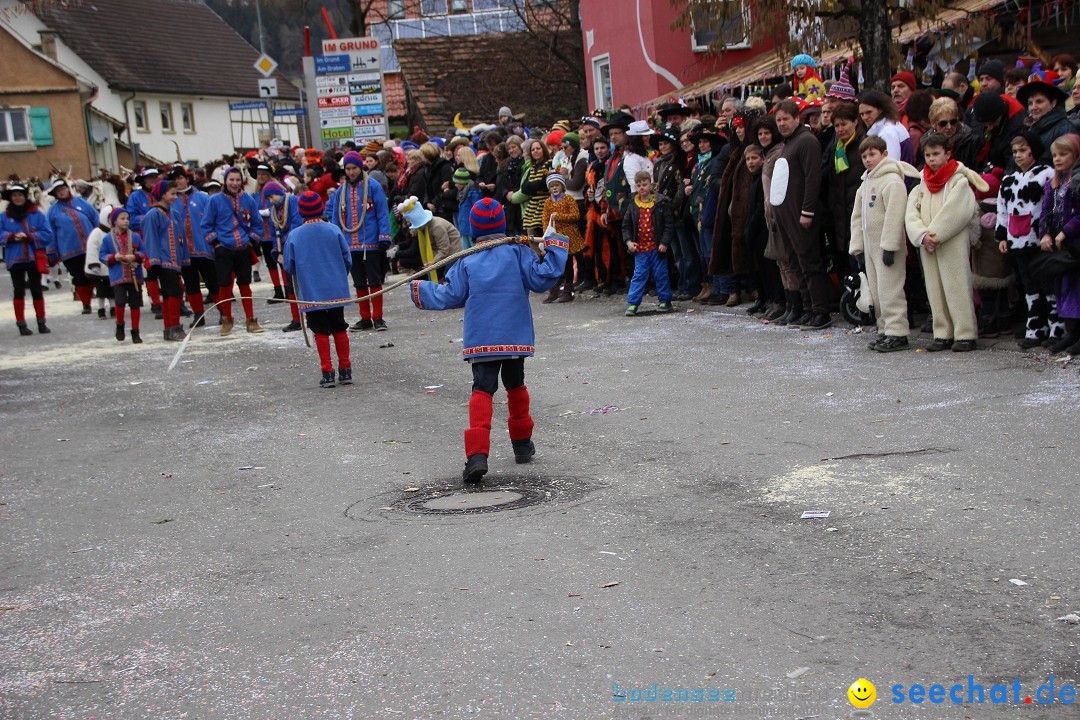 Narrenumzug - Fasnet Narrentage: Nenzingen am Bodensee, 15.02.2014