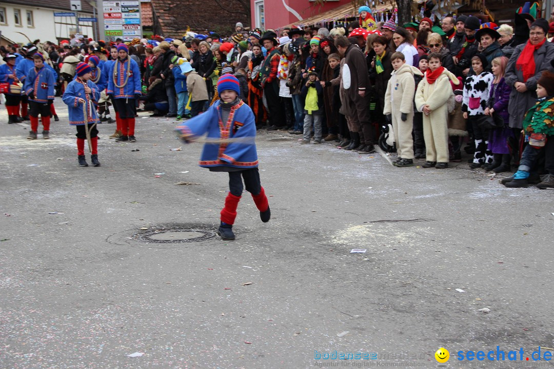 Narrenumzug - Fasnet Narrentage: Nenzingen am Bodensee, 15.02.2014