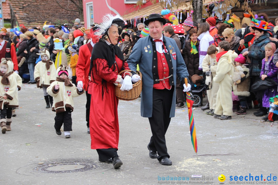 Narrenumzug - Fasnet Narrentage: Nenzingen am Bodensee, 15.02.2014