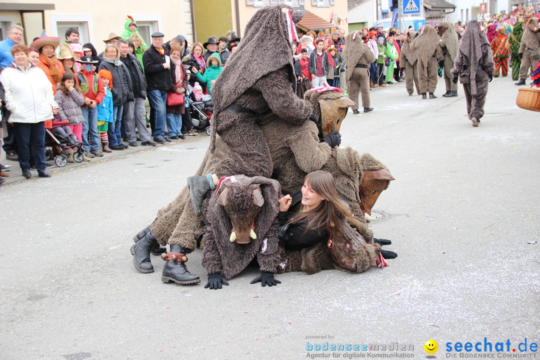 Narrenumzug - Fasnet Narrentage: Nenzingen am Bodensee, 15.02.2014