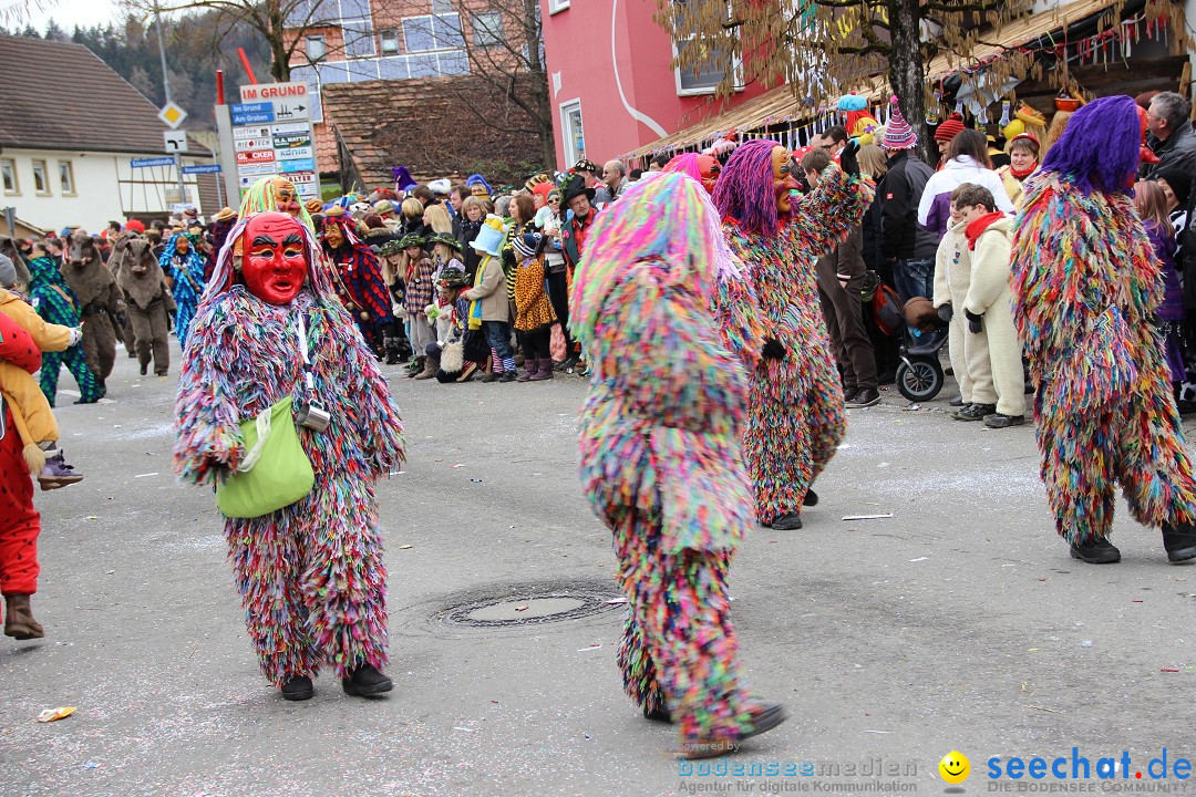 Narrenumzug - Fasnet Narrentage: Nenzingen am Bodensee, 15.02.2014