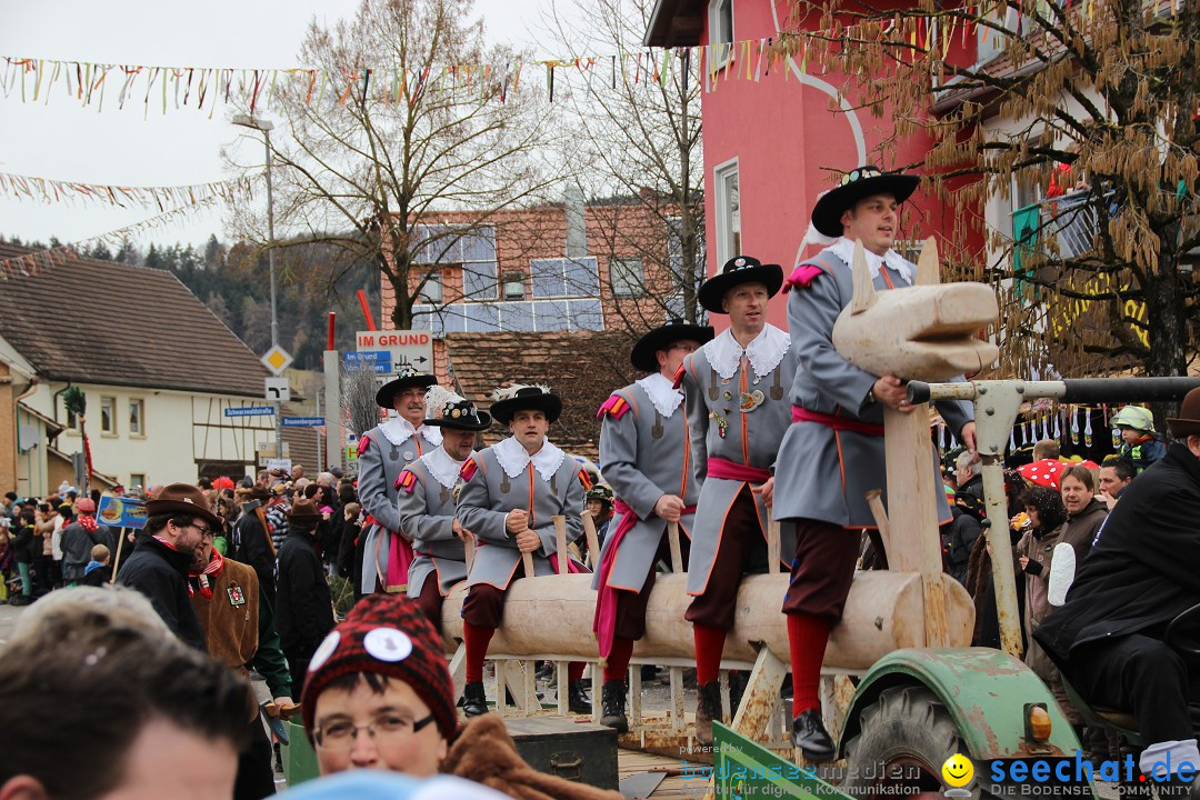 Narrenumzug - Fasnet Narrentage: Nenzingen am Bodensee, 15.02.2014