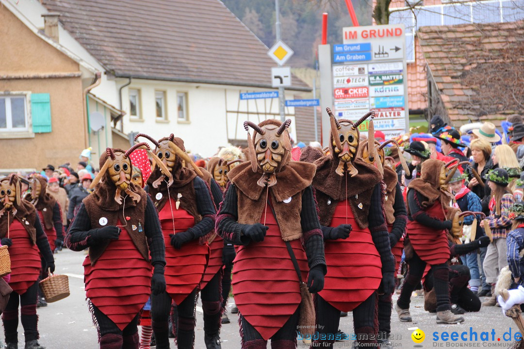 Narrenumzug - Fasnet Narrentage: Nenzingen am Bodensee, 15.02.2014