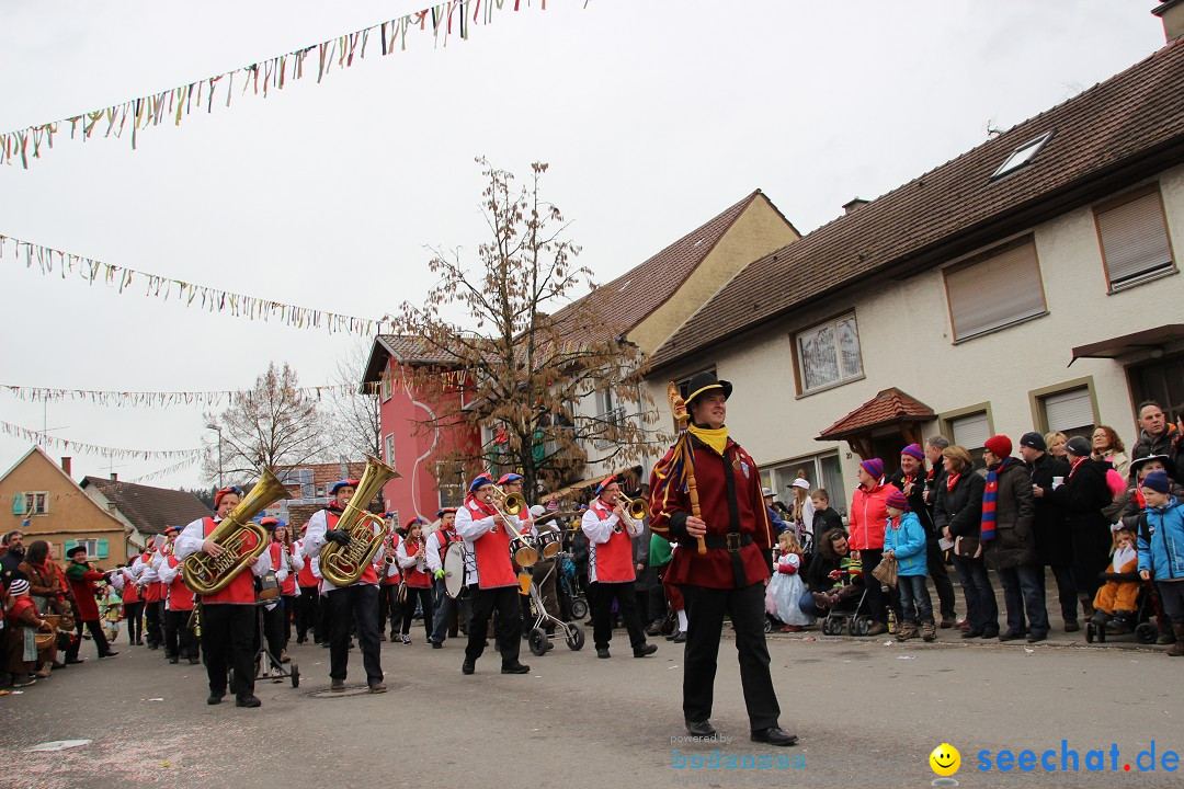 Narrenumzug - Fasnet Narrentage: Nenzingen am Bodensee, 15.02.2014