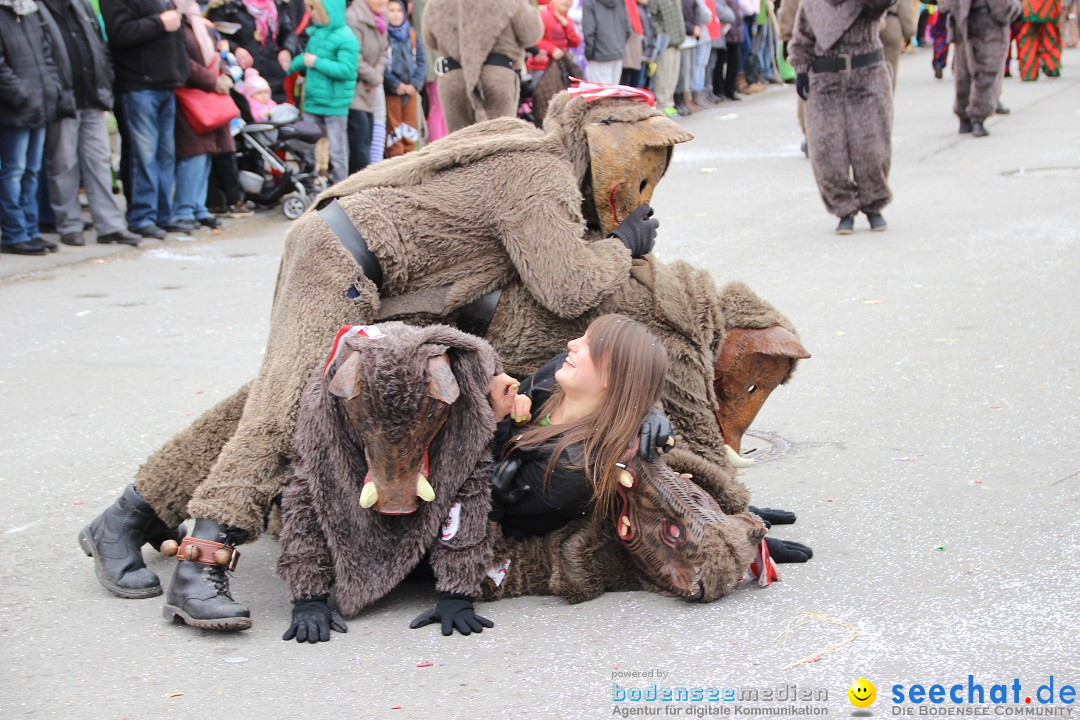 Narrenumzug - Fasnet Narrentage: Nenzingen am Bodensee, 15.02.2014