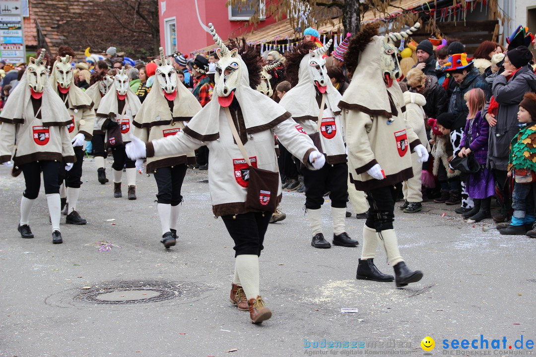 Narrenumzug - Fasnet Narrentage: Nenzingen am Bodensee, 15.02.2014