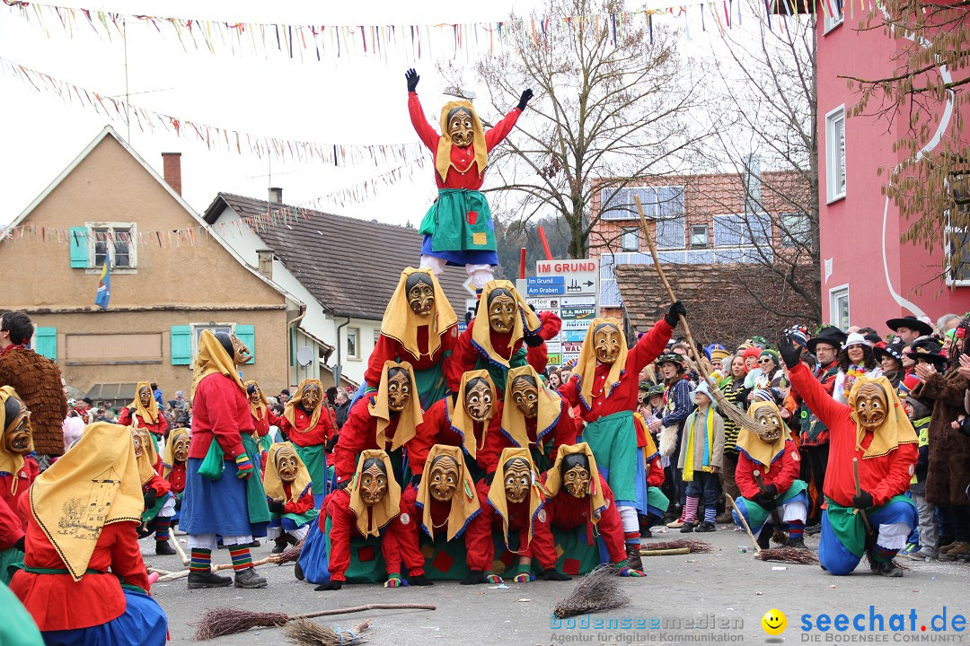 Narrenumzug - Fasnet Narrentage: Nenzingen am Bodensee, 15.02.2014