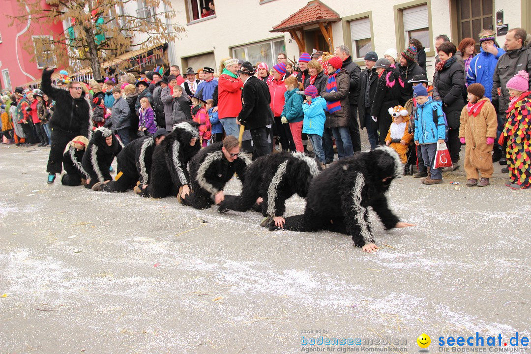 Narrenumzug - Fasnet Narrentage: Nenzingen am Bodensee, 15.02.2014