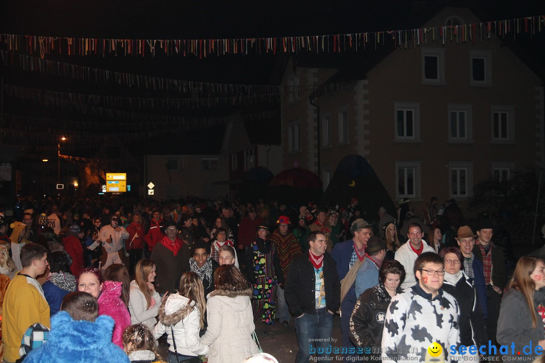 Nachtumzug - Narrentage in Orsingen-Nenzingen am Bodensee, 14.02.2014