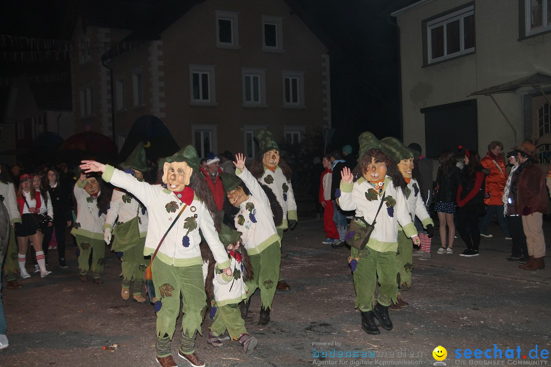 Nachtumzug - Narrentage in Orsingen-Nenzingen am Bodensee, 14.02.2014