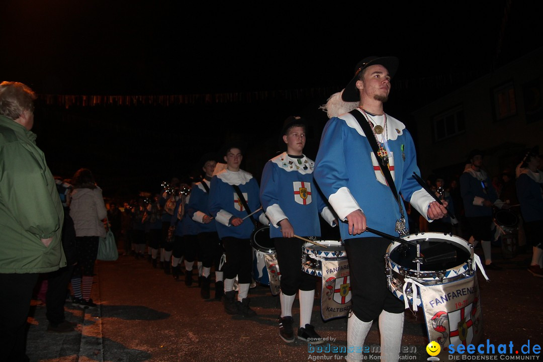 Nachtumzug - Narrentage in Orsingen-Nenzingen am Bodensee, 14.02.2014