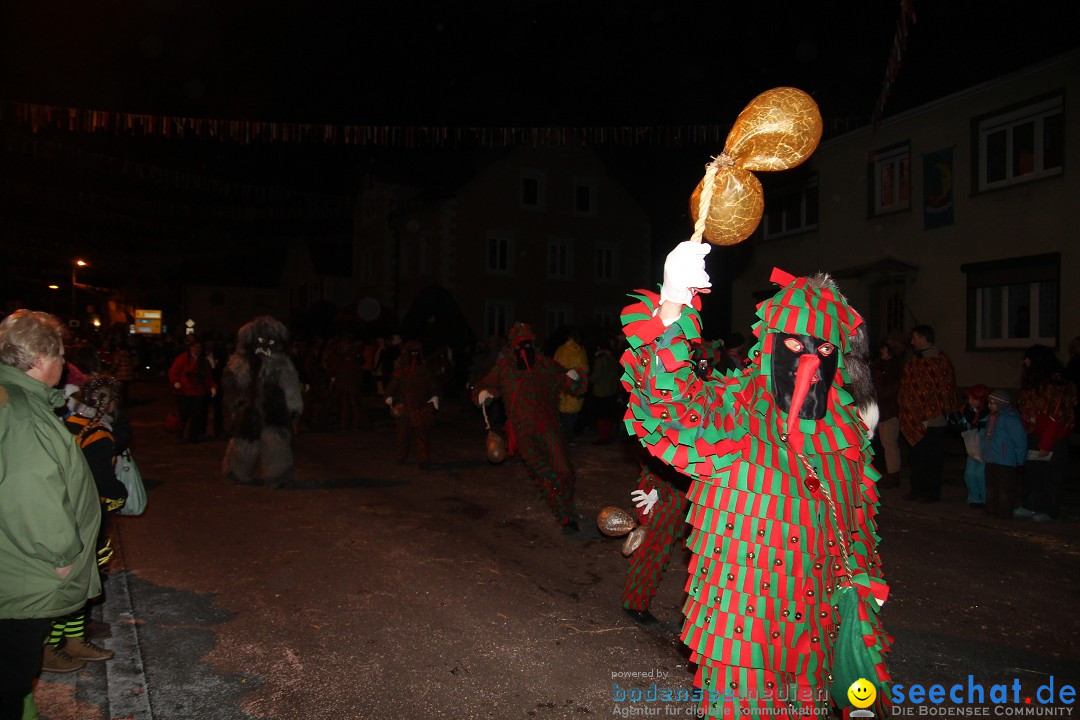 Nachtumzug - Narrentage in Orsingen-Nenzingen am Bodensee, 14.02.2014