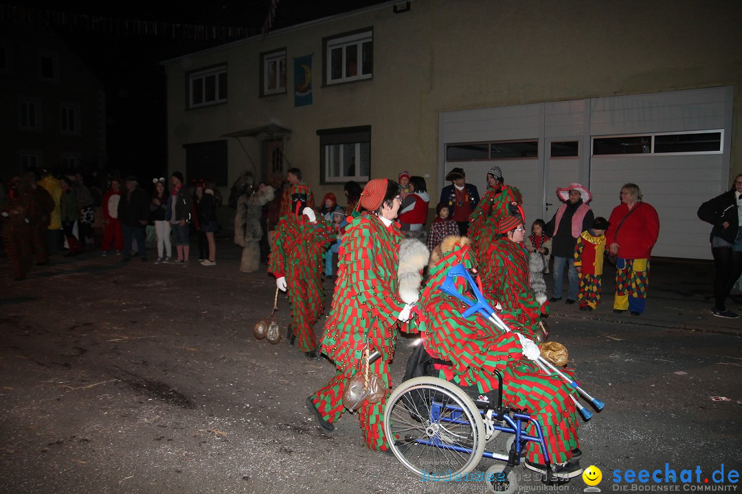 Nachtumzug - Narrentage in Orsingen-Nenzingen am Bodensee, 14.02.2014