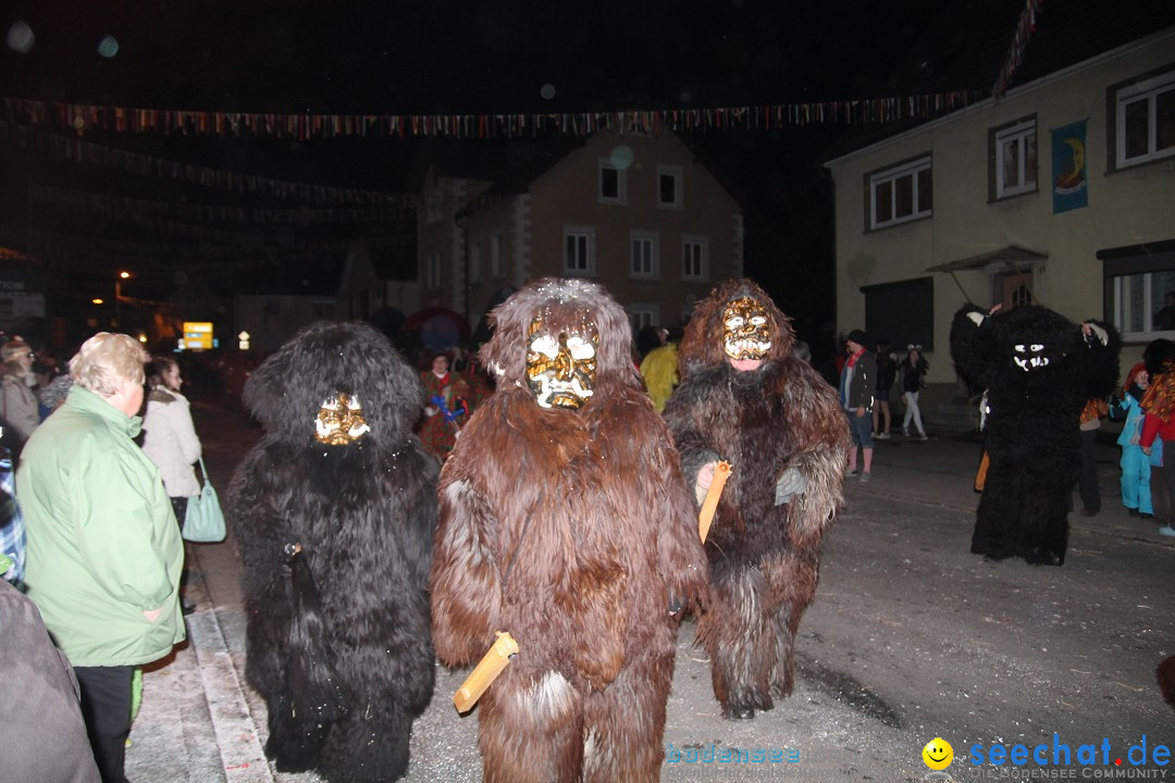 Nachtumzug - Narrentage in Orsingen-Nenzingen am Bodensee, 14.02.2014