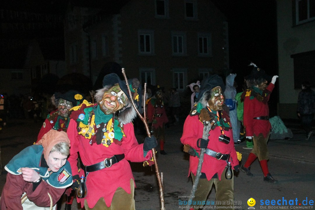 Nachtumzug - Narrentage in Orsingen-Nenzingen am Bodensee, 14.02.2014