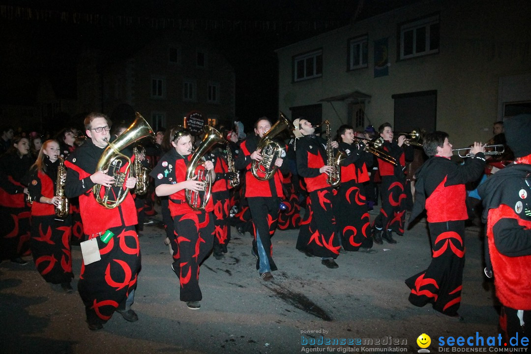 Nachtumzug - Narrentage in Orsingen-Nenzingen am Bodensee, 14.02.2014