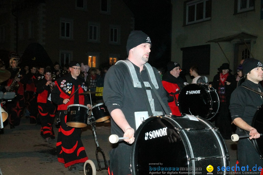 Nachtumzug - Narrentage in Orsingen-Nenzingen am Bodensee, 14.02.2014