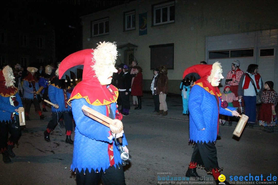 Nachtumzug - Narrentage in Orsingen-Nenzingen am Bodensee, 14.02.2014