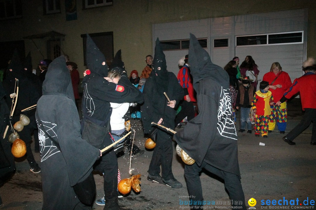 Nachtumzug - Narrentage in Orsingen-Nenzingen am Bodensee, 14.02.2014