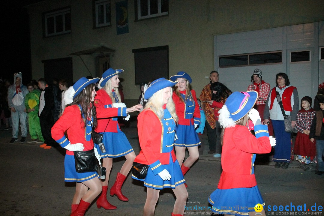 Nachtumzug - Narrentage in Orsingen-Nenzingen am Bodensee, 14.02.2014