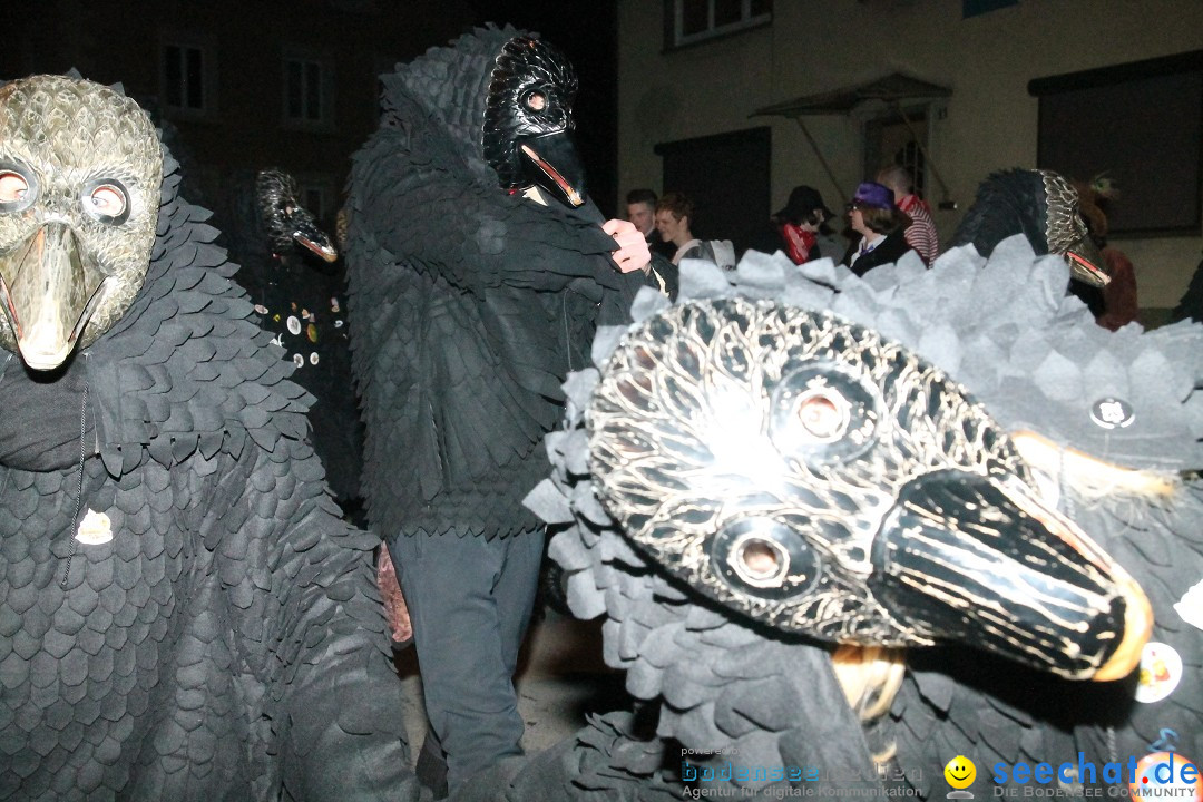 Nachtumzug - Narrentage in Orsingen-Nenzingen am Bodensee, 14.02.2014