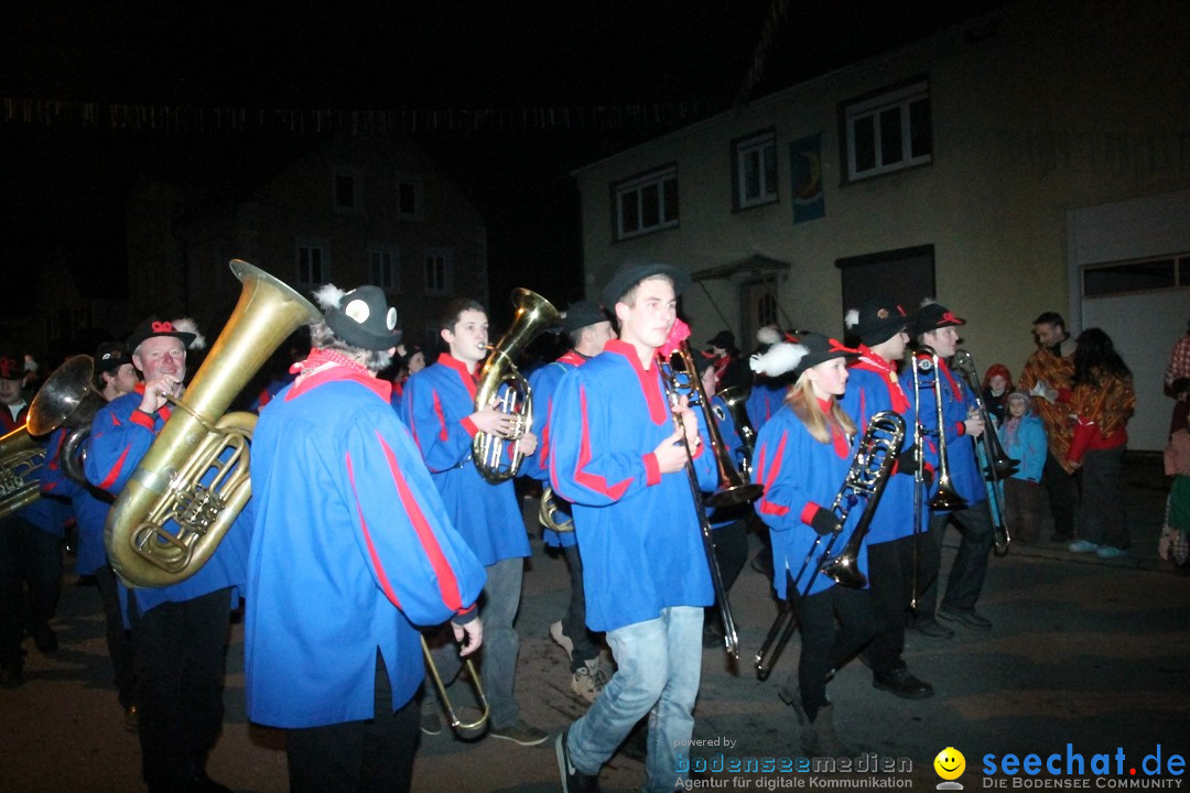 Nachtumzug - Narrentage in Orsingen-Nenzingen am Bodensee, 14.02.2014