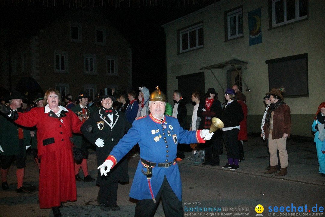 Nachtumzug - Narrentage in Orsingen-Nenzingen am Bodensee, 14.02.2014