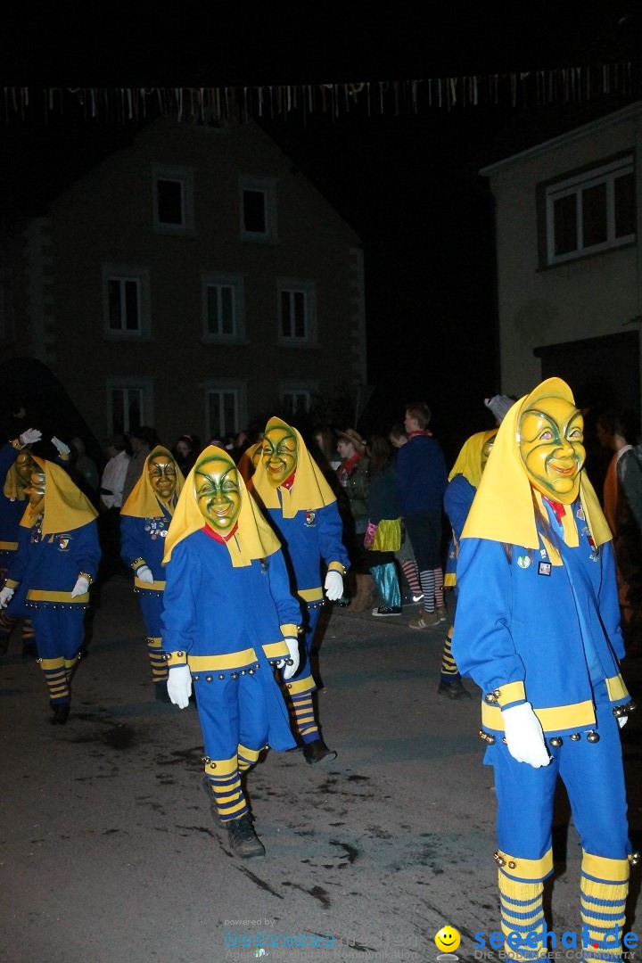 Nachtumzug - Narrentage in Orsingen-Nenzingen am Bodensee, 14.02.2014