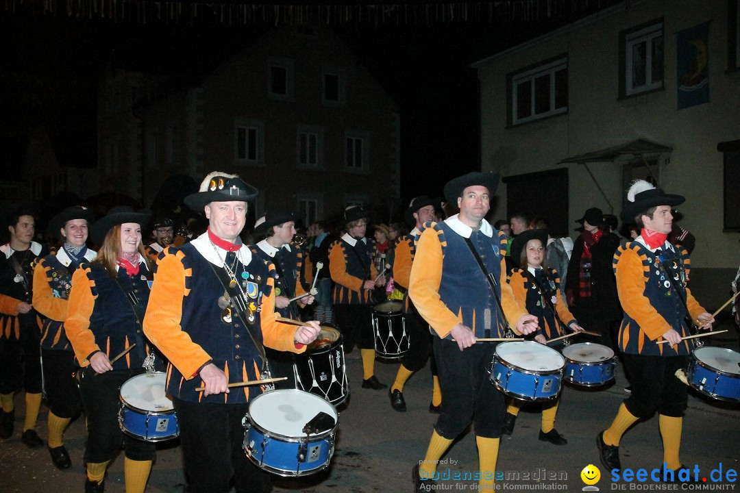 Nachtumzug - Narrentage in Orsingen-Nenzingen am Bodensee, 14.02.2014