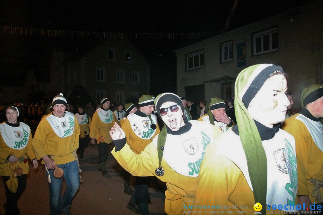 Nachtumzug - Narrentage in Orsingen-Nenzingen am Bodensee, 14.02.2014