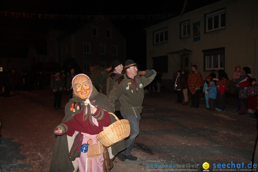 Nachtumzug - Narrentage in Orsingen-Nenzingen am Bodensee, 14.02.2014