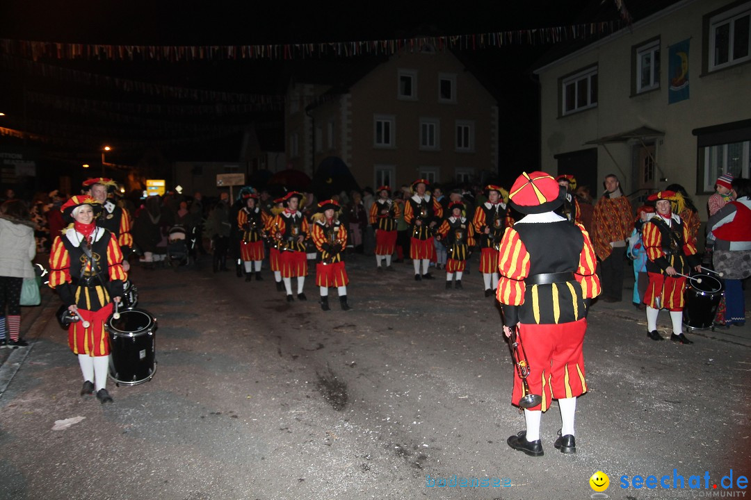 Nachtumzug - Narrentage in Orsingen-Nenzingen am Bodensee, 14.02.2014