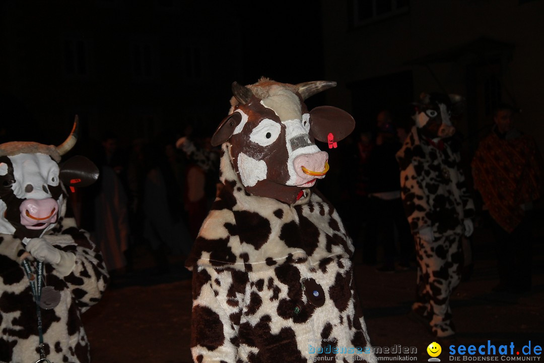 Nachtumzug - Narrentage in Orsingen-Nenzingen am Bodensee, 14.02.2014