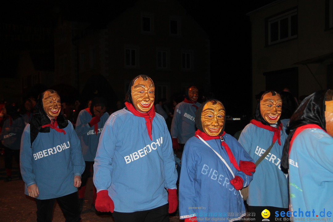 Nachtumzug - Narrentage in Orsingen-Nenzingen am Bodensee, 14.02.2014