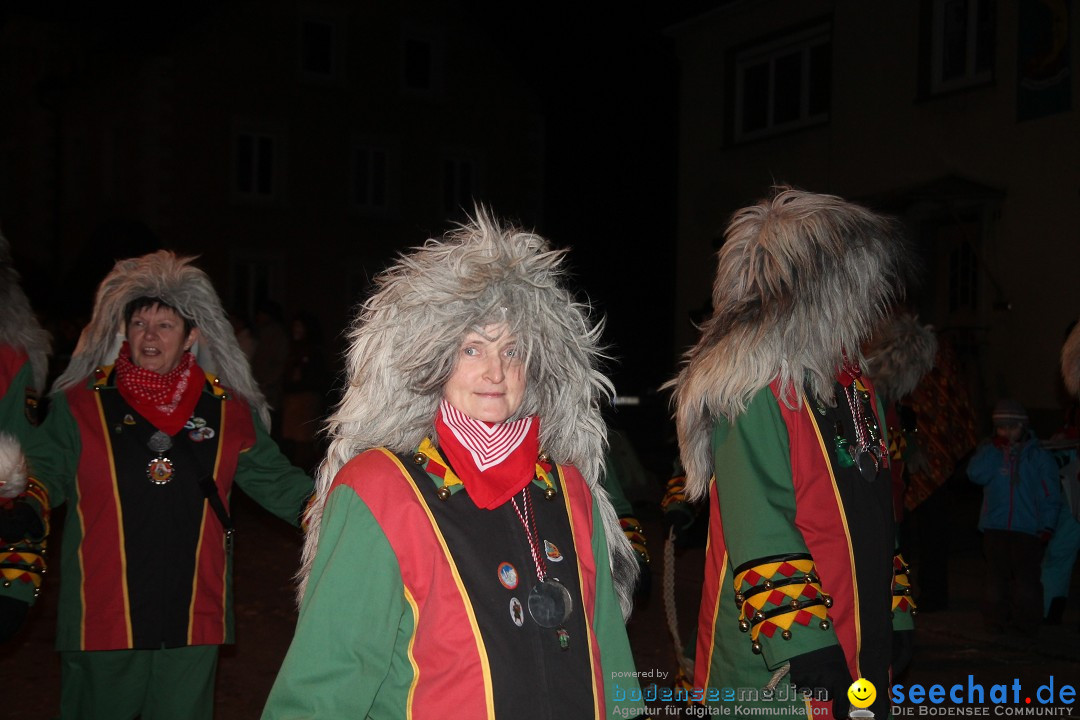 Nachtumzug - Narrentage in Orsingen-Nenzingen am Bodensee, 14.02.2014