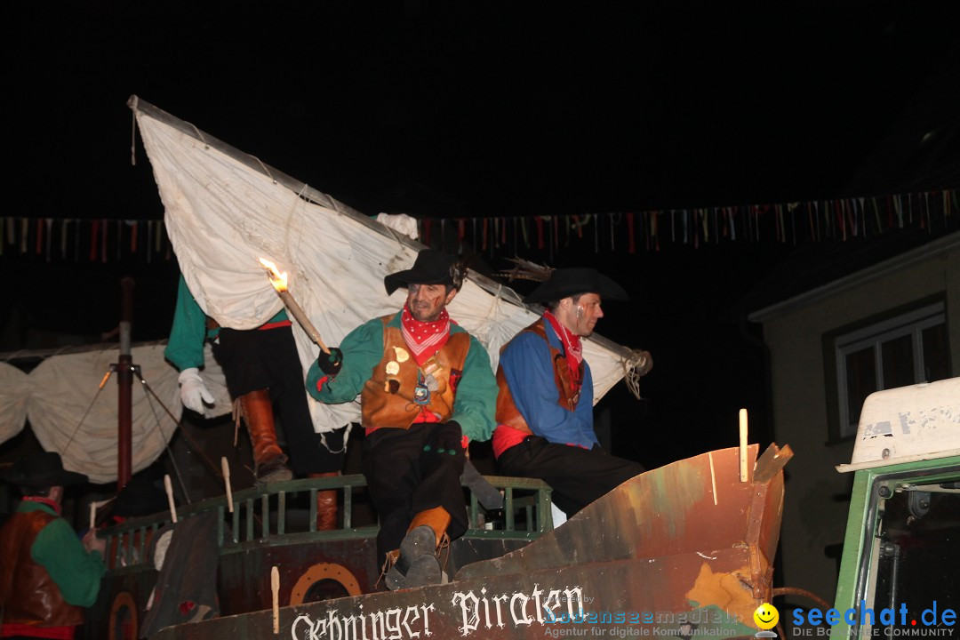 Nachtumzug - Narrentage in Orsingen-Nenzingen am Bodensee, 14.02.2014