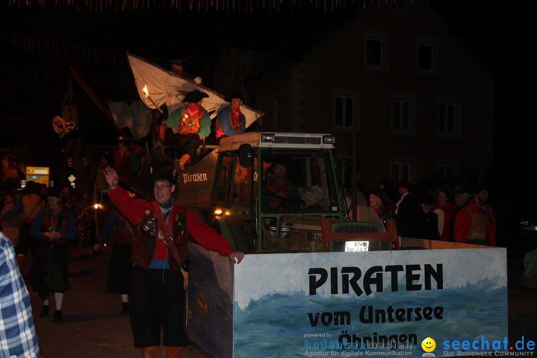 Nachtumzug - Narrentage in Orsingen-Nenzingen am Bodensee, 14.02.2014