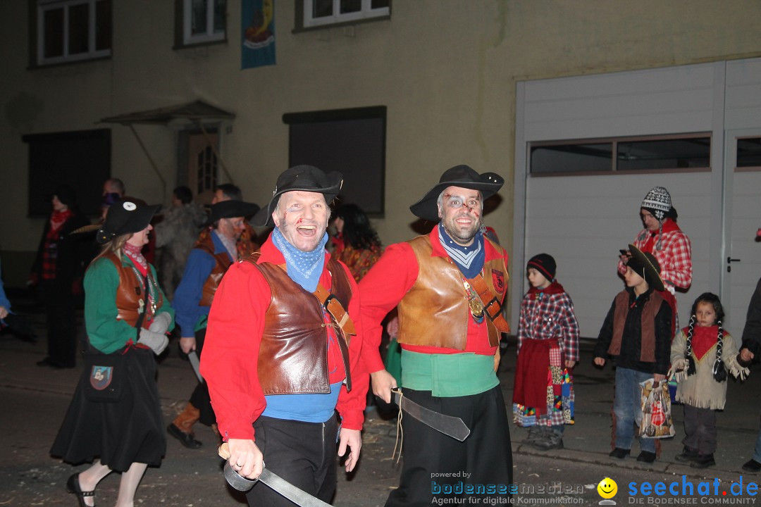 Nachtumzug - Narrentage in Orsingen-Nenzingen am Bodensee, 14.02.2014